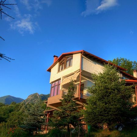 Militsa Guesthouse Naousa  Bagian luar foto