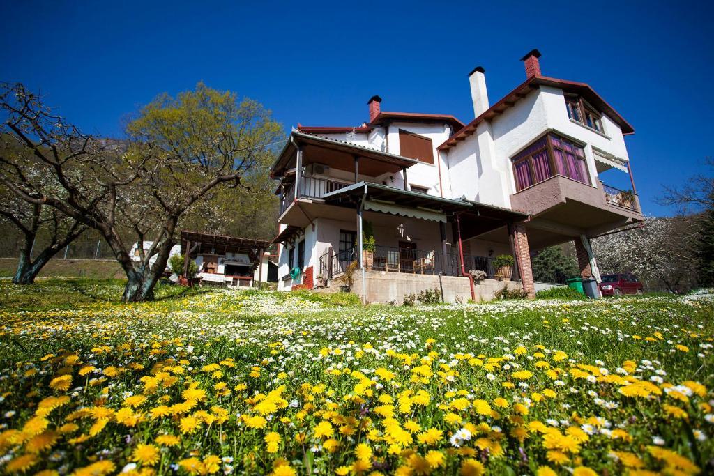 Militsa Guesthouse Naousa  Bagian luar foto