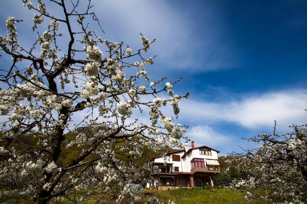 Militsa Guesthouse Naousa  Bagian luar foto