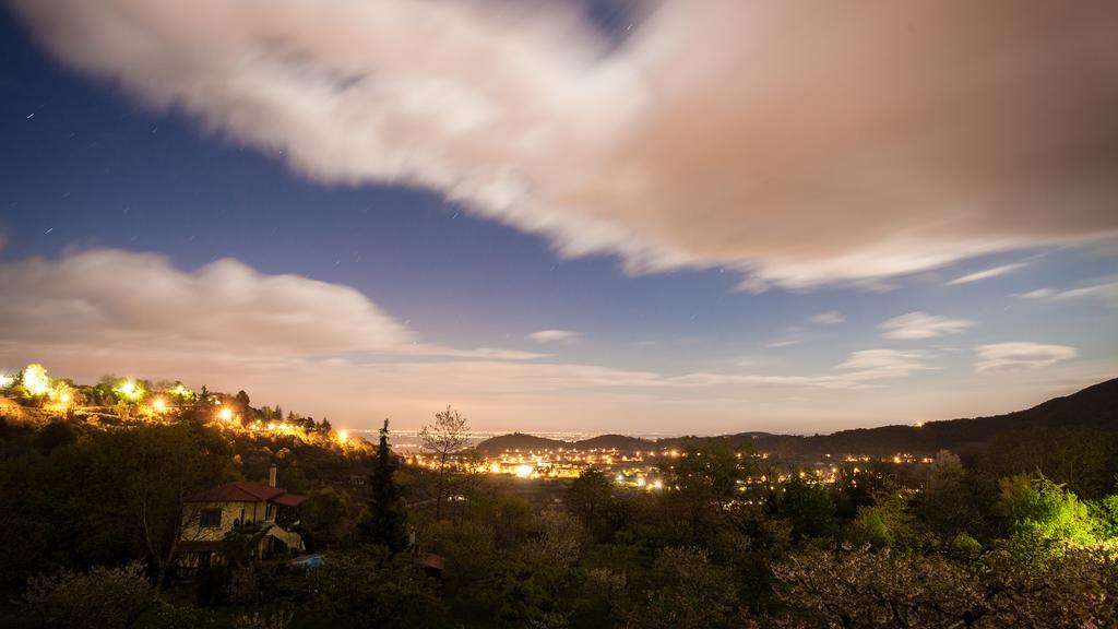 Militsa Guesthouse Naousa  Bagian luar foto